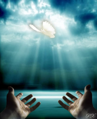 Hands reaching dove flying sky - dionisiu free wallpaper for mobile