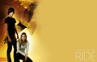 Man woman standing bird flying - above them free wallpaper