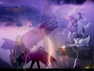 Woman bird lightning background bird - her shoulder and a bird free wallpaper