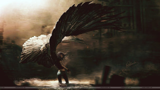 Woman black bird wings building - her hand and a building in the background free wallpaper