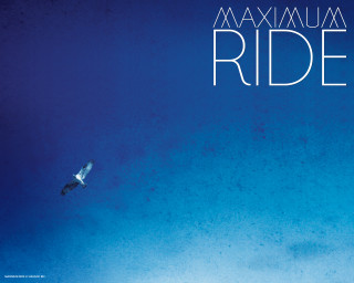 Bird flying blue sky maximum - imax free wallpaper