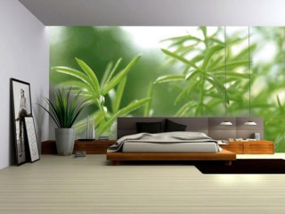 Bedroom large bed plant wall - a plant in the corner of the room free wallpaper
