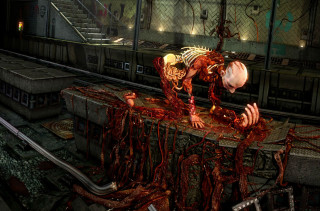 Creepy table skeleton room stairs - a skeleton free wallpaper