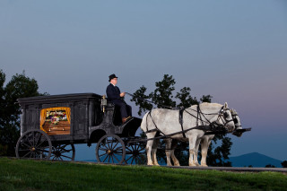 Man riding horse drawn carriage 2 - annie leibovitz free wallpaper for desktop
