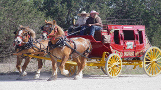 Horses red carriage road people 2 - ancell stronach free wallpaper