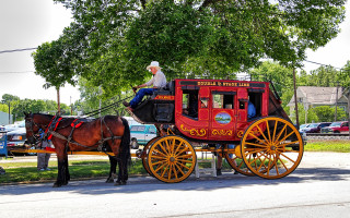 Man horse carriage street park - western free wallpaper