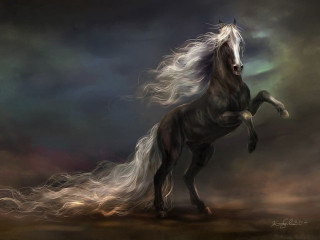 Horse long hair hind legs 2 - a horse free wallpaper for desktop