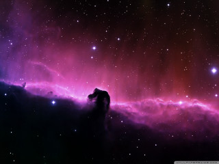 Purple red space stars horse 2 - against free wallpaper for desktop