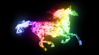 Colored smoke horse black background - a white horse free wallpaper