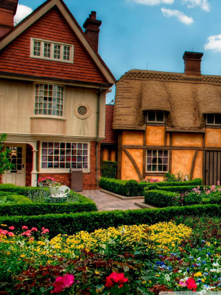 House garden hedge boxwood hedge - a house free wallpaper for mobile