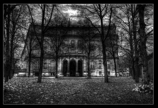 Building woods cemetery black white - paris school free wallpaper