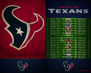 Houston texans logo red blue - free sports wallpaper
