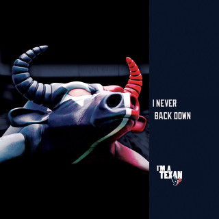 Bull horns name tag poster - daarken free wallpaper for tablet