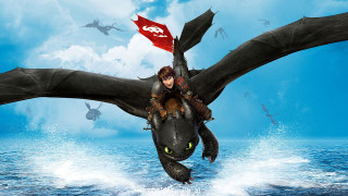 Woman dragon flying water birds - other bird free wallpaper