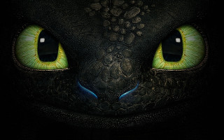Cat eyes green yellow eyeshades - dragon! free wallpaper