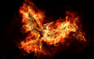 Bird flying fire wings spread - the air free wallpaper