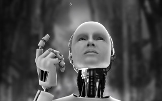 Robot holding object looking up - a robot holding free wallpaper for desktop