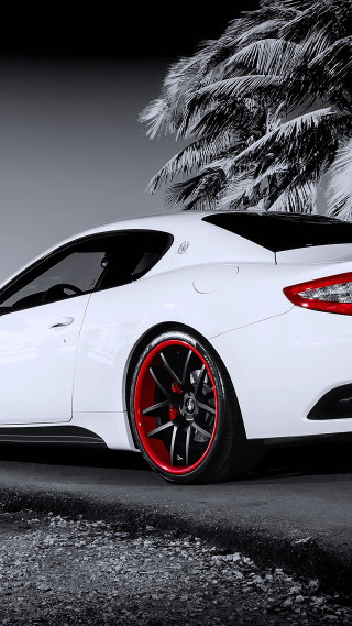White sports car palm tree - free 3d render wallpaper for mobile