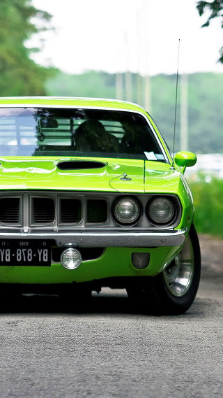 Green car parked roadside forest - art green free wallpaper for mobile