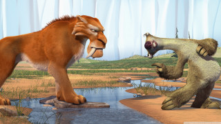 Dog animal couple looking grass - a couple of animals free wallpaper