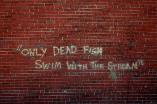 Brick wall graffiti storm fishstop - a stop sign free wallpaper for desktop