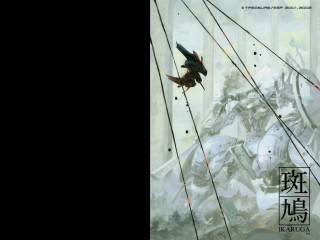 Bird flying forest asia helmet - ashley wood free wallpaper