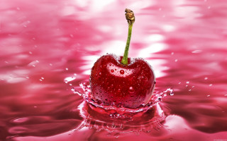 Cherry stem water pink background 2 - a cherry free wallpaper