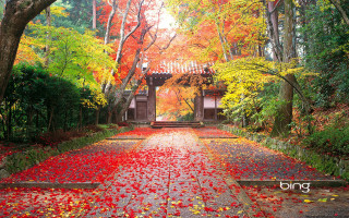 Pathway leaves building red door - japan eishōsai chōki free wallpaper