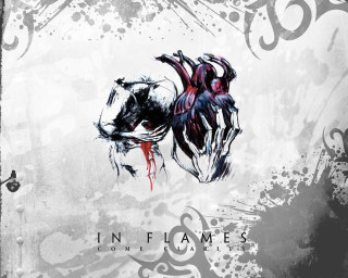 Horse blood flames image side - face and the words free wallpaper for desktop