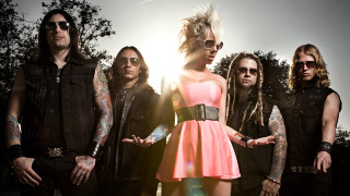 People sunlight trees arms outstretched - their arm free wallpaper