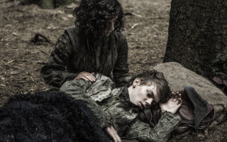 Man woman tree woods dog - the ground next free wallpaper