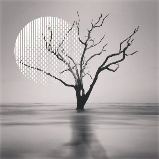 Tree half circle half moon - octane renderer free wallpaper for tablet