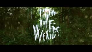 Graffiti into the woods wall - free aesthetic wallpaper