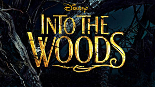 Into the woods forest sword - a man in a forest free wallpaper