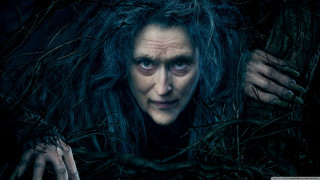 Woman long hair blue eyes 24 - annie leibovitz free wallpaper for desktop