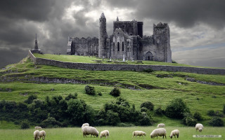 Sheep grazing field castle stormy 3 - a castle in the background free wallpaper