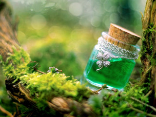 Green jar moss forest bokeh - silver free wallpaper