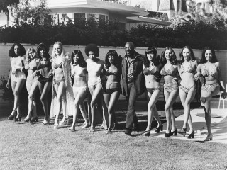 Women bathing suits wall house - cosmo alexander free wallpaper