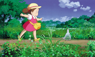 Girl pink dress hat field - official art free wallpaper for desktop