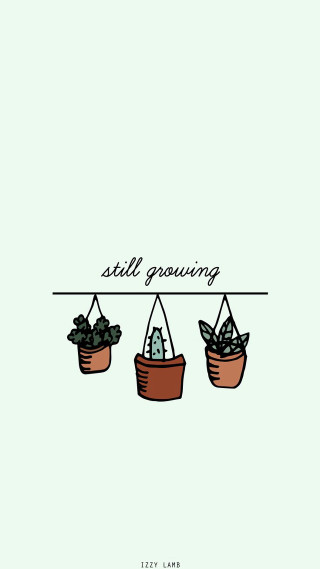 Still growing three potted plants - free flowers wallpaper