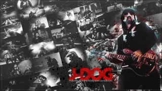Man guitar picture wall dog - david dougal williams free wallpaper