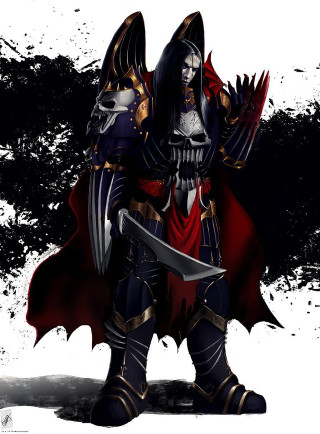 Man armor sword skull chest - epic fantasy character art free wallpaper for mobile