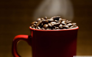 Red cup coffee beans steaming - coffee bean free wallpaper for desktop