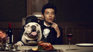 Man dog tuxedo table food - a man sitting free wallpaper