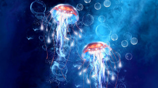 Jellyfish floating water bubbles blue 3 - bubble of water free wallpaper