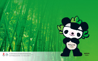 Panda bear panda face bamboo - a bamboo forest free wallpaper