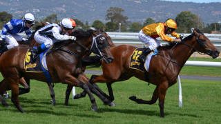 Men horses race track sky - the back free wallpaper for desktop