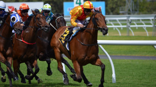 Jockeys horses racing track grass - a white fence free wallpaper for desktop