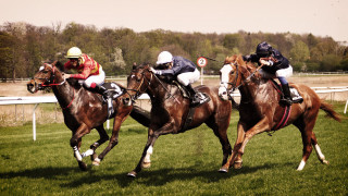 Jockeys racing horses track grassy - horse free wallpaper