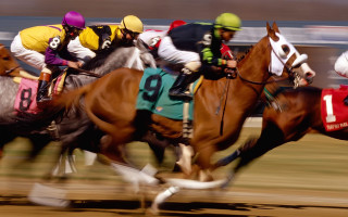 Horses racing jockeys track numbers - ancell stronach free wallpaper